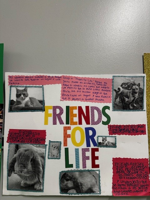 1st Grade IB Project